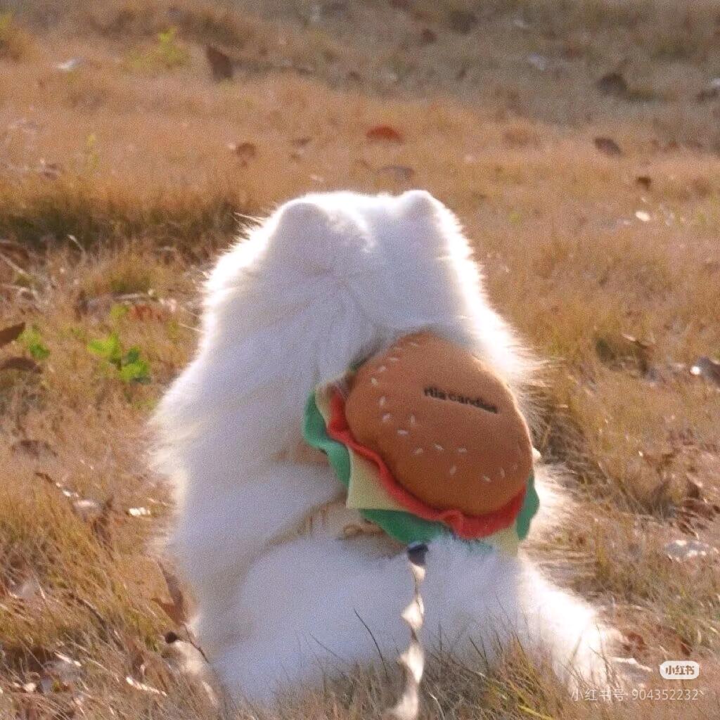 👸🏻张张包☁️