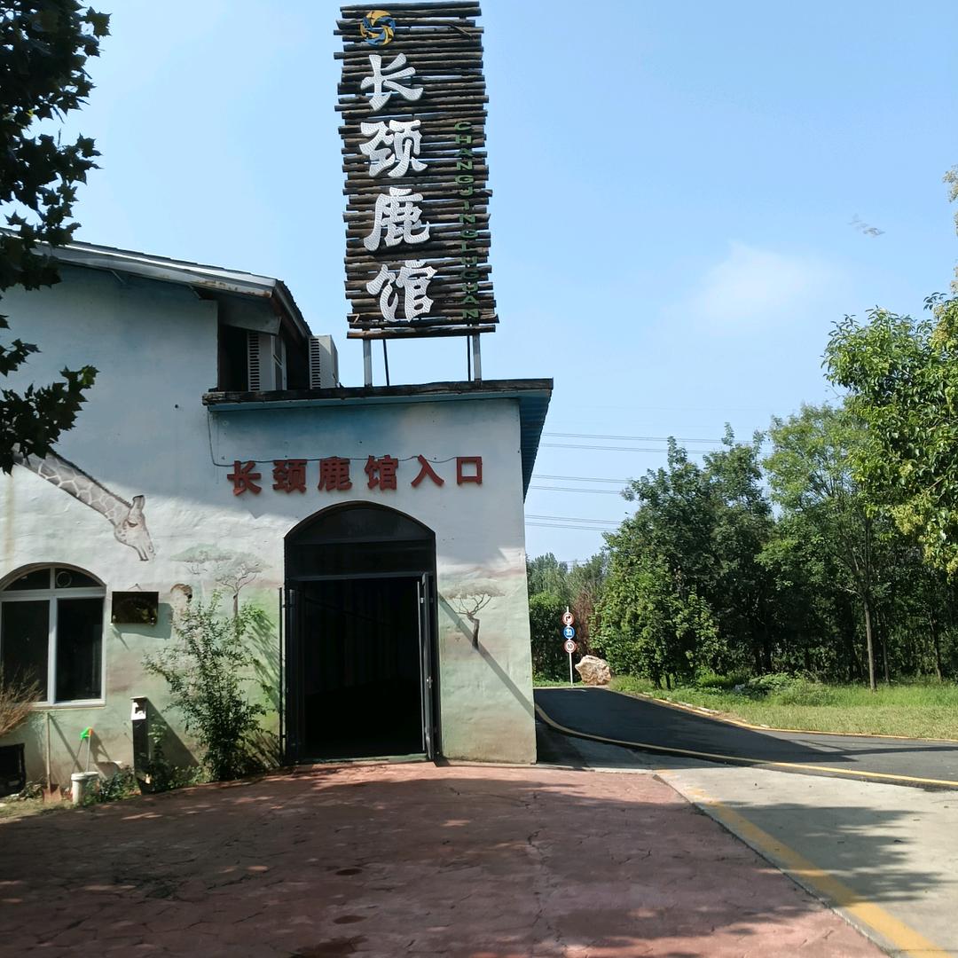 美丽的小可爱晚上8点开直播