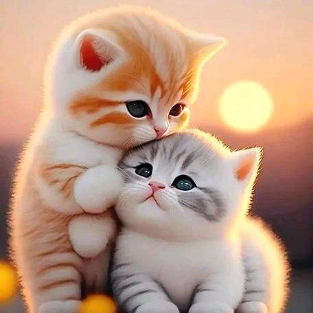 cat tales
