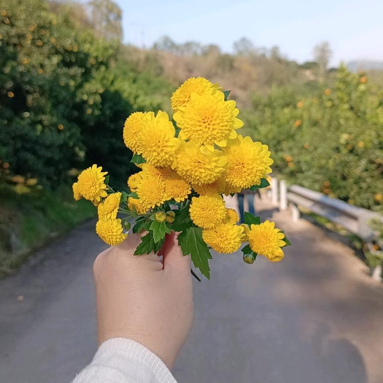 木子李♡
