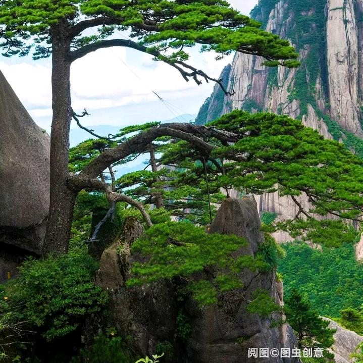 ，明天会更好