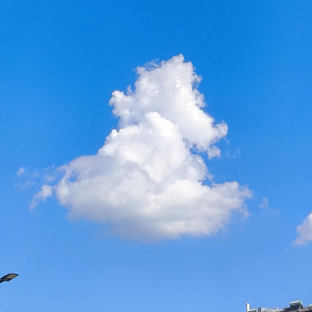 风雨同舟00_248240976