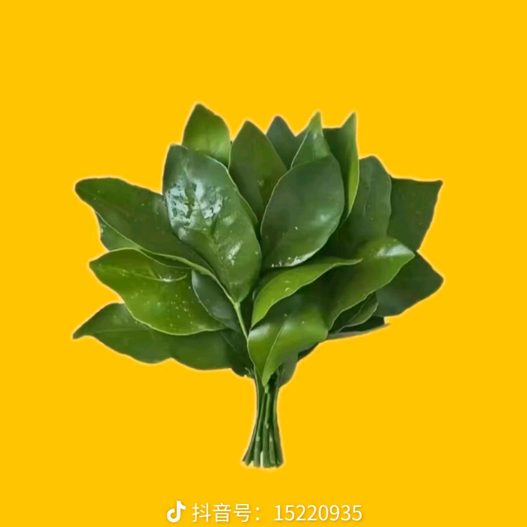 王琳（彬彬同学）