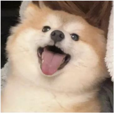 你的小跟班啊！(ღ˘⌣˘ღ)