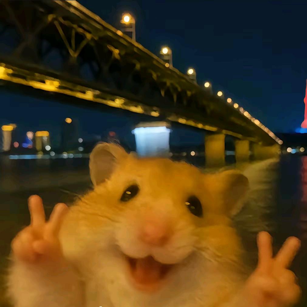 龙哥