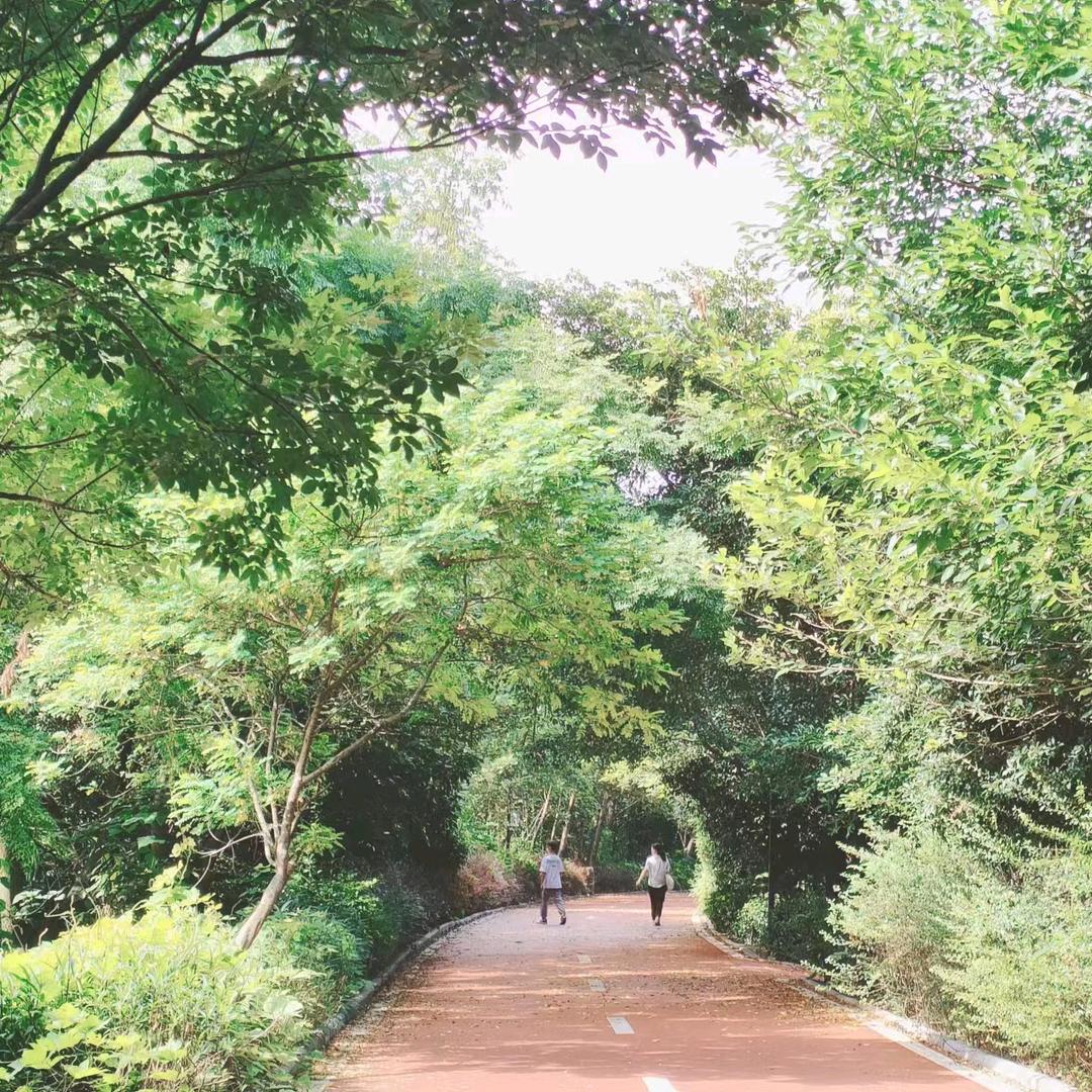 家里