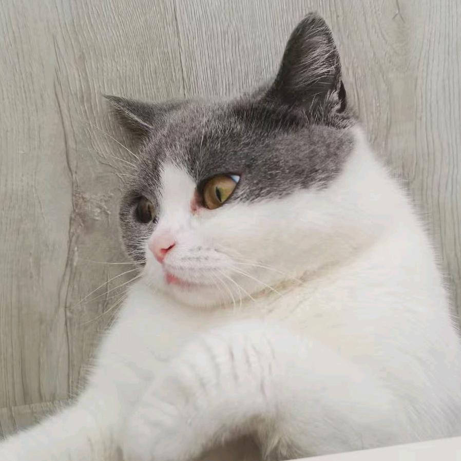 许