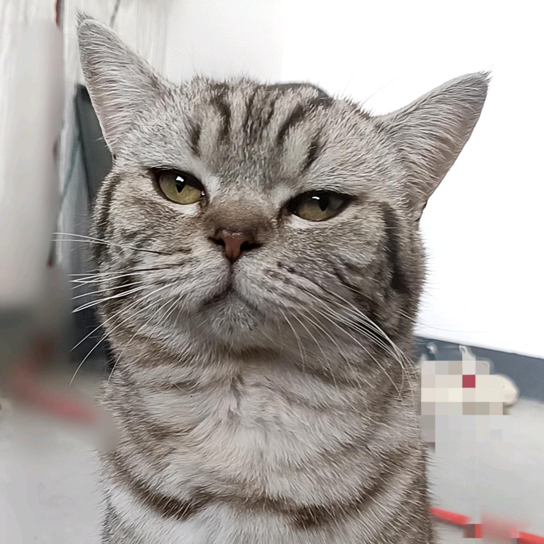 涛声祥瑞