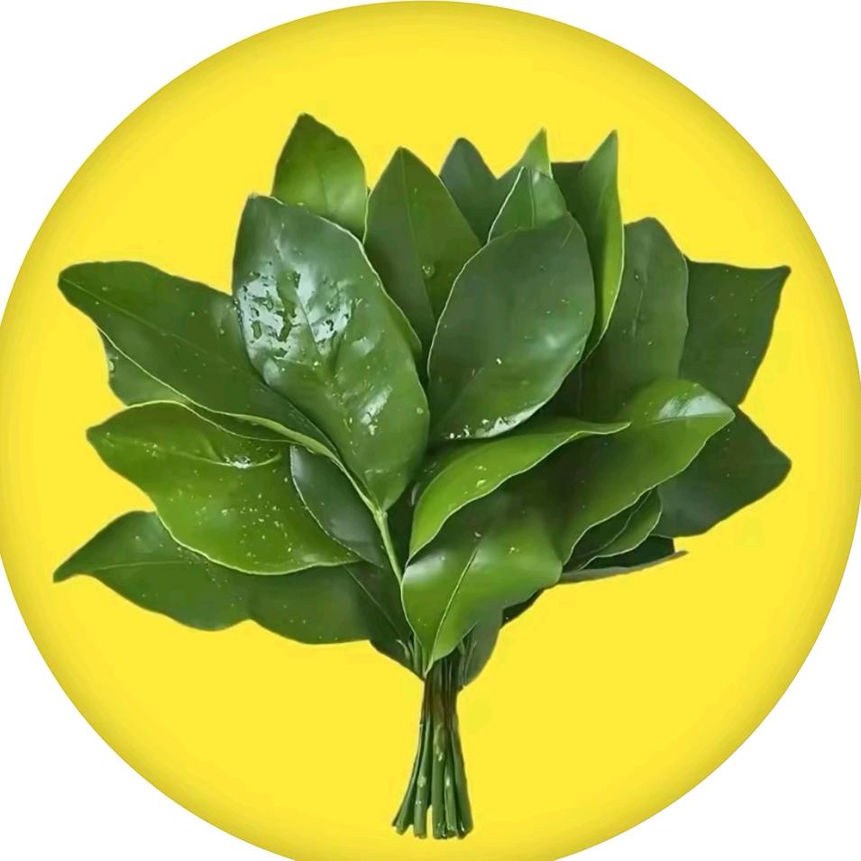 梦幻