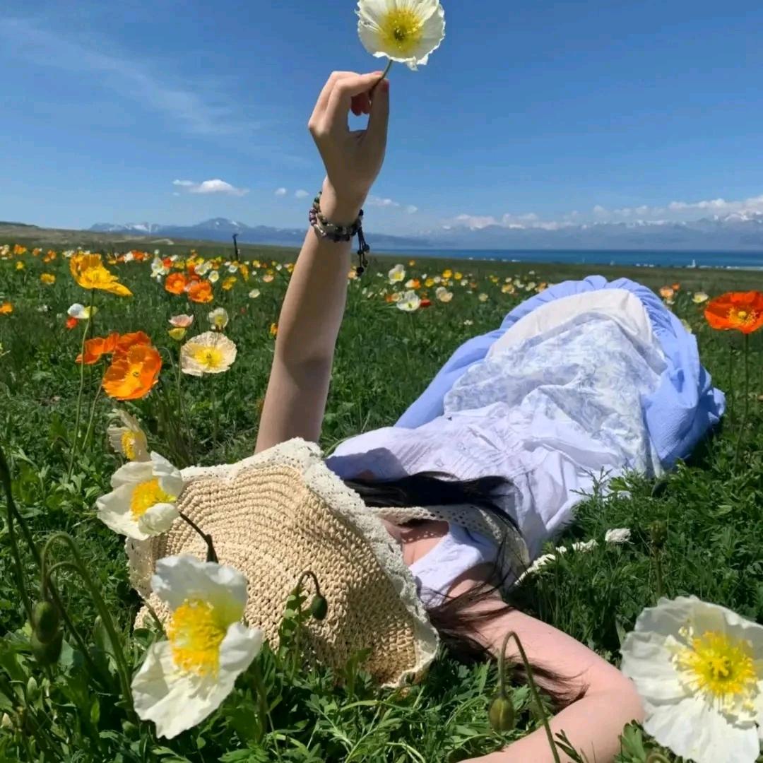 一只胖小羊🐑