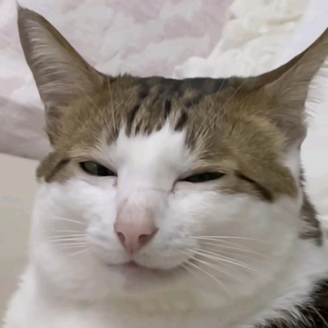 小李答应啦(德国受苦版)