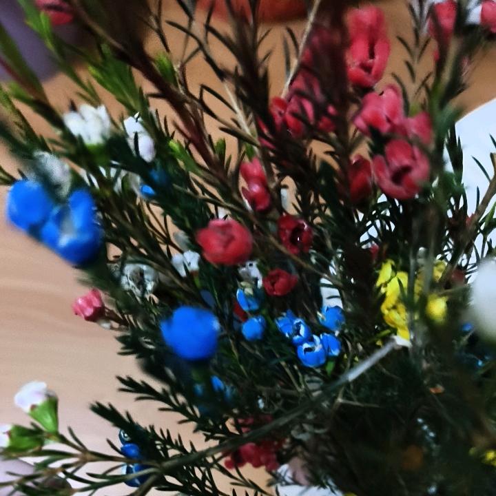 无花果🍏