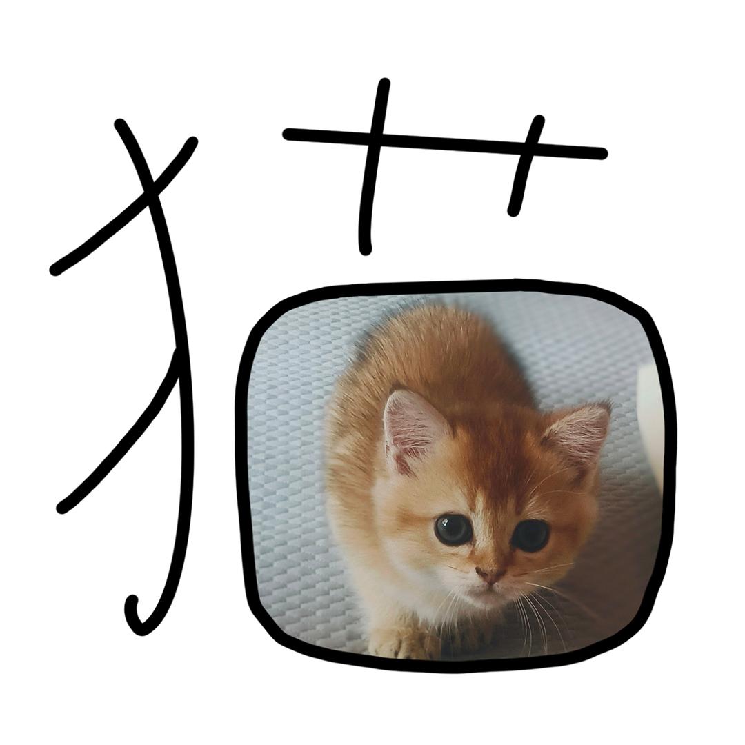 金·元宝~😎
