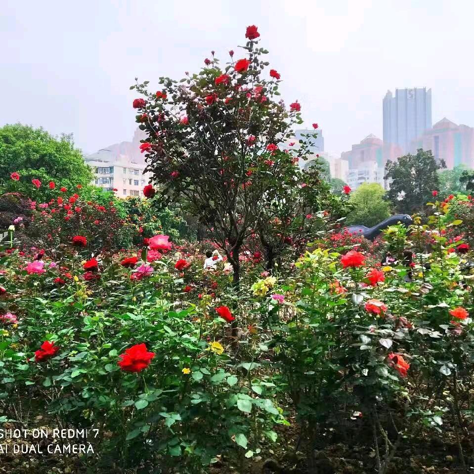 枚姐姐(早上5点半健身)