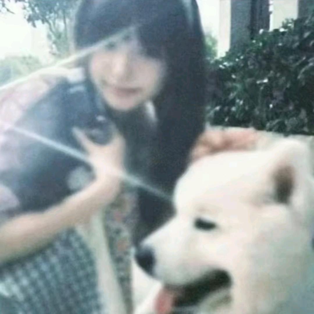 D_ian↗🦄
