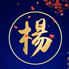 @杨先生