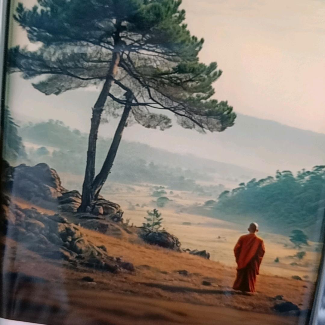 静檀居士