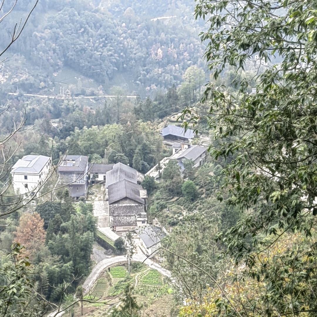 恩施硒奇大里的土猪肉