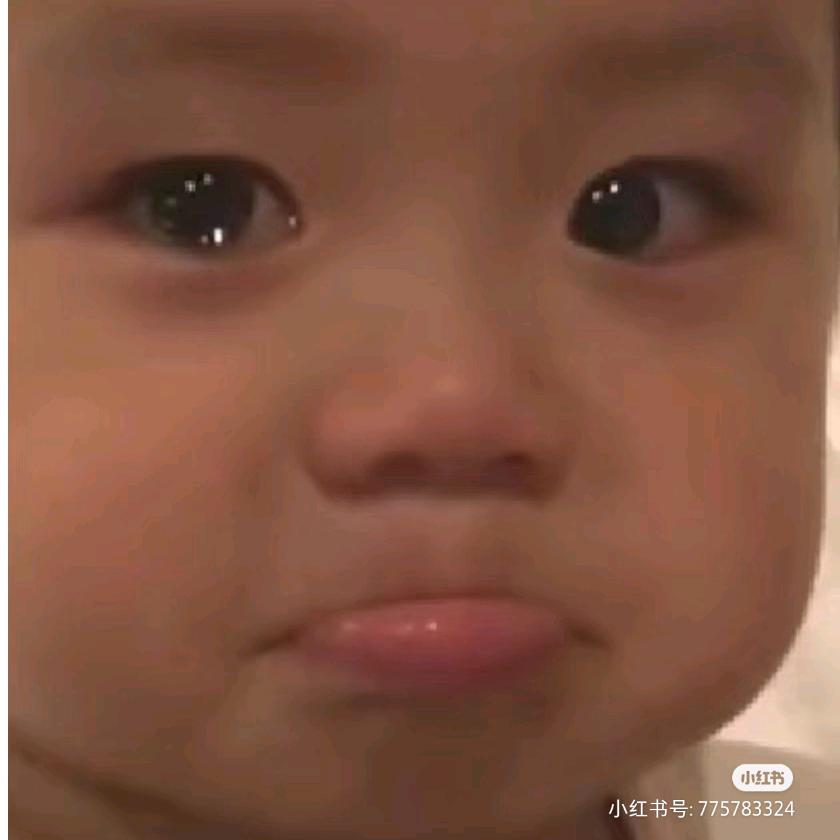 傅梨