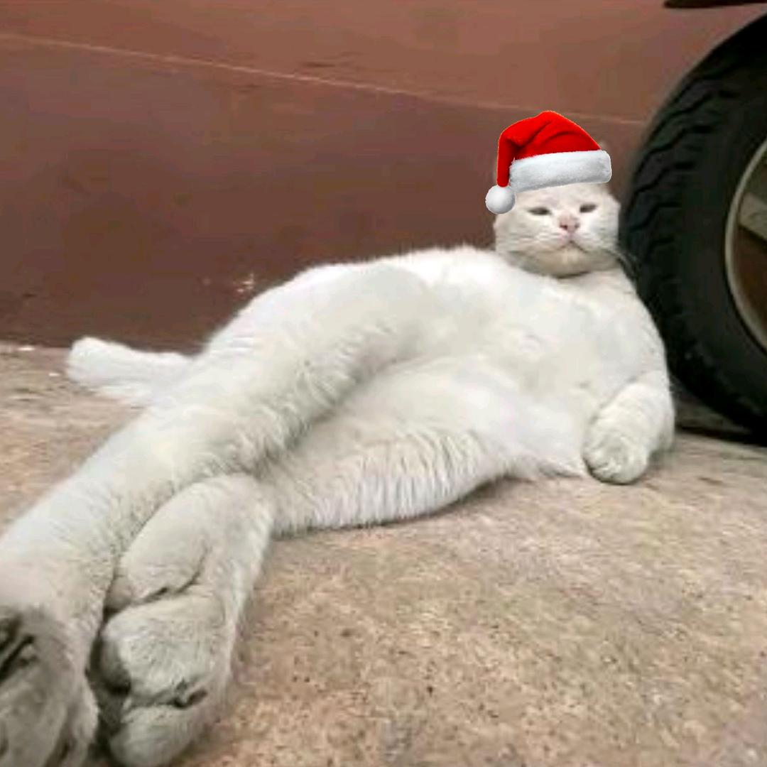 不要紧