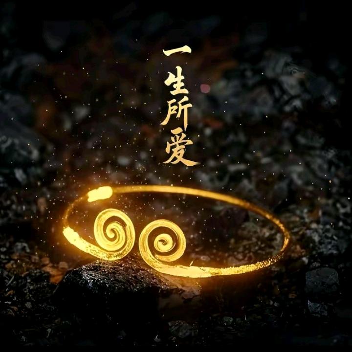 一生所爱