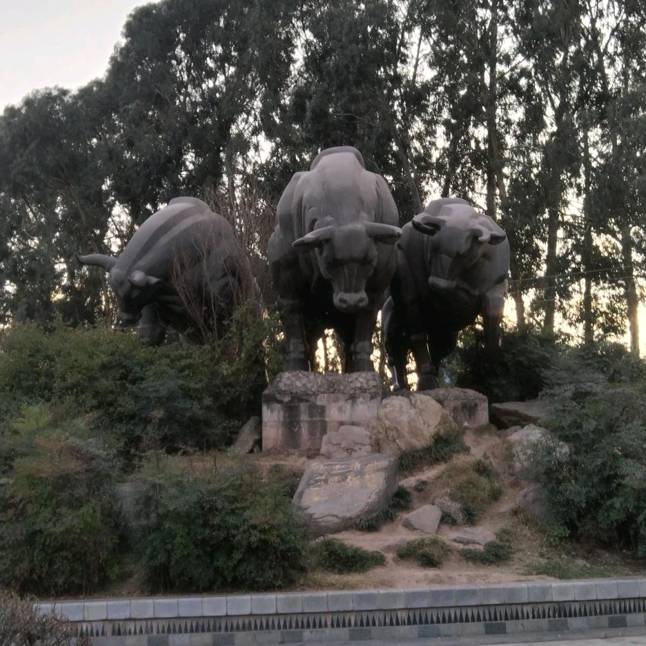 工地小哥