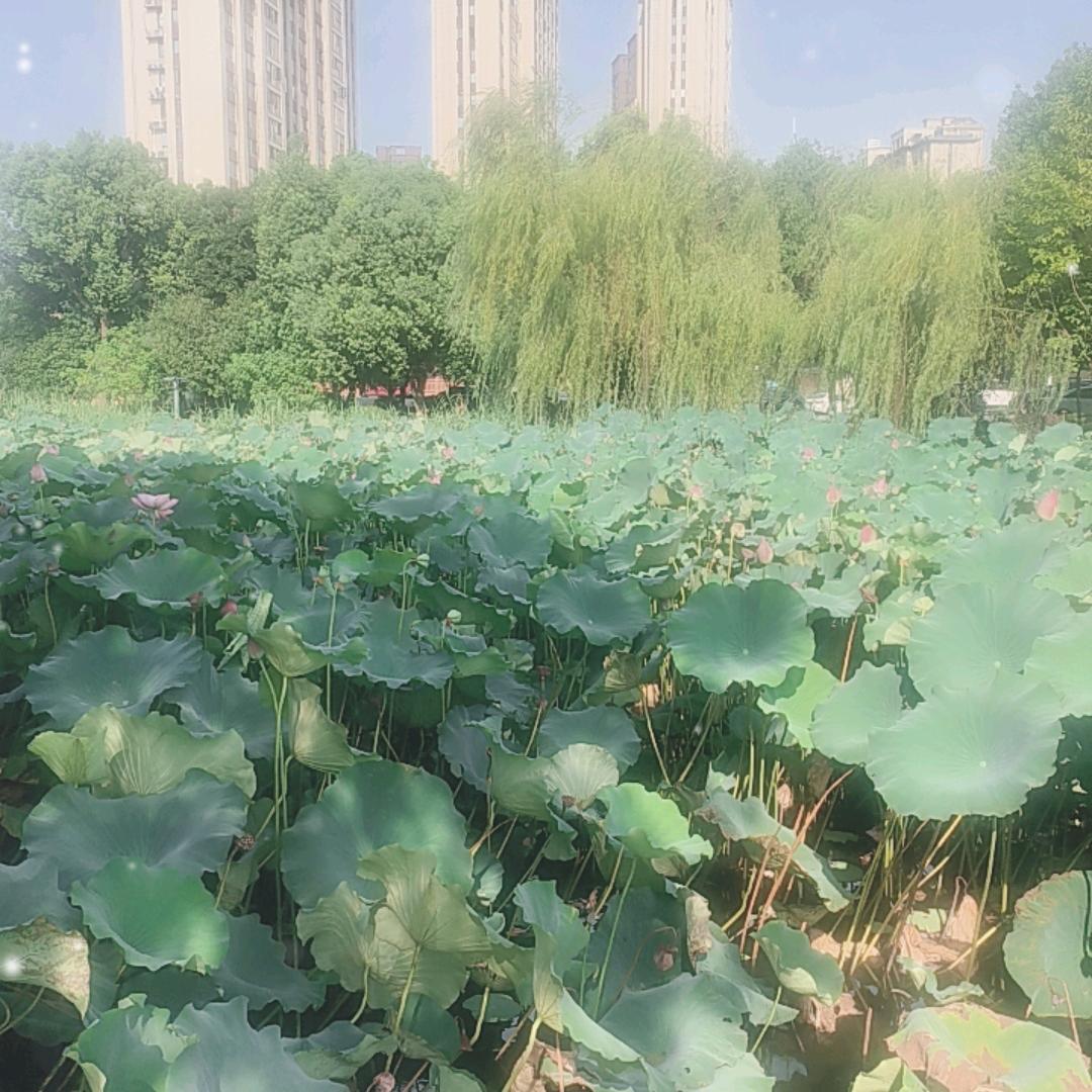 火起来
