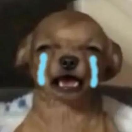狗不李-
