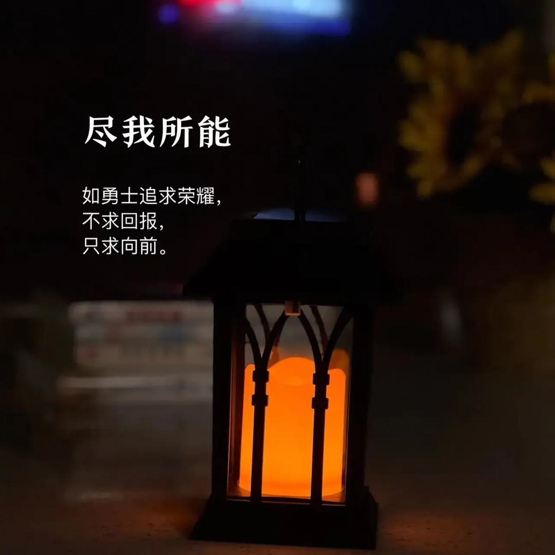 诗酒纵年华
