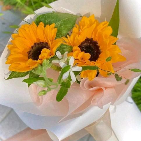 暖心❤️向阳🌻