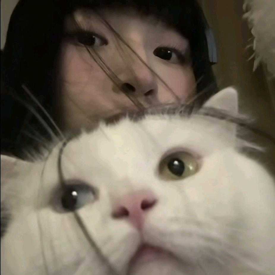 大脸猫（幸福版）