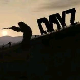 阿敬【AJ】dayz