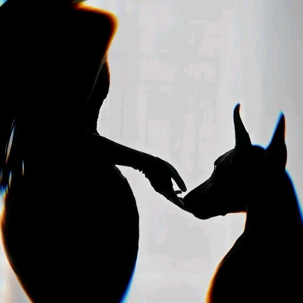 霸道女王👠