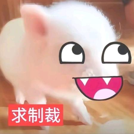 Xiu21