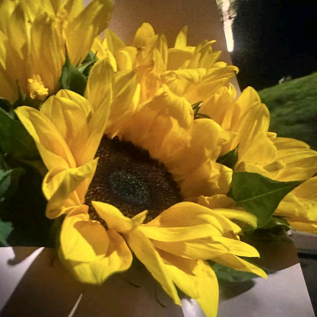 灵山县美容养生中心