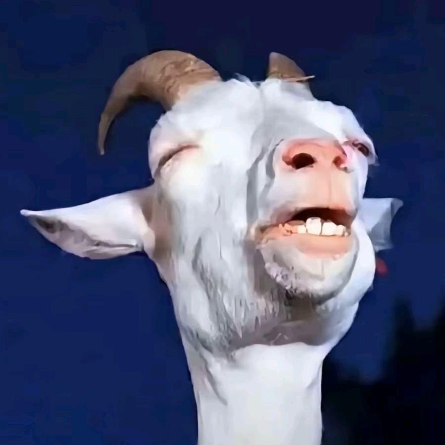 洋姐生鲜优品小铺