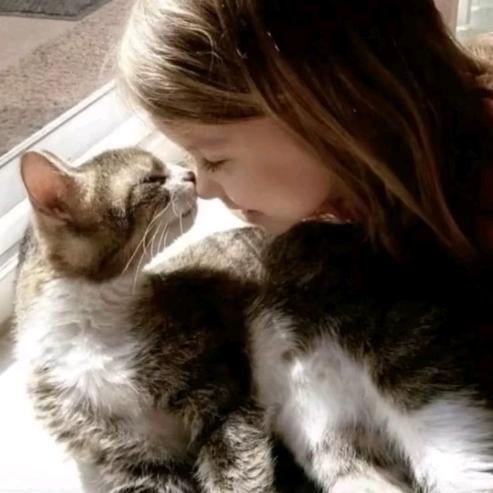 咱老百姓可千万别参与这事儿！