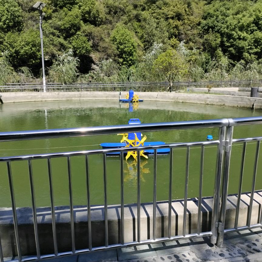 顺其自然
