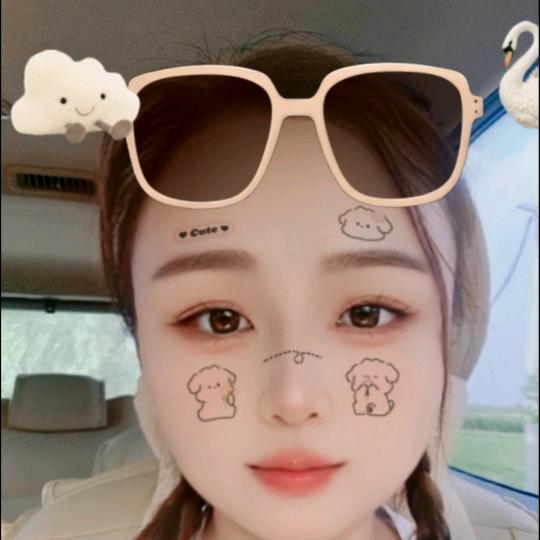 幸福的叶子170