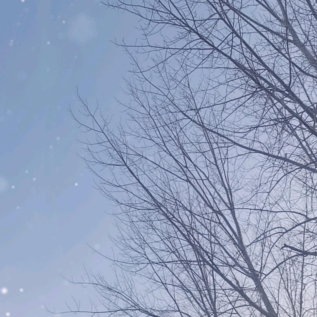 氛鈄導詆