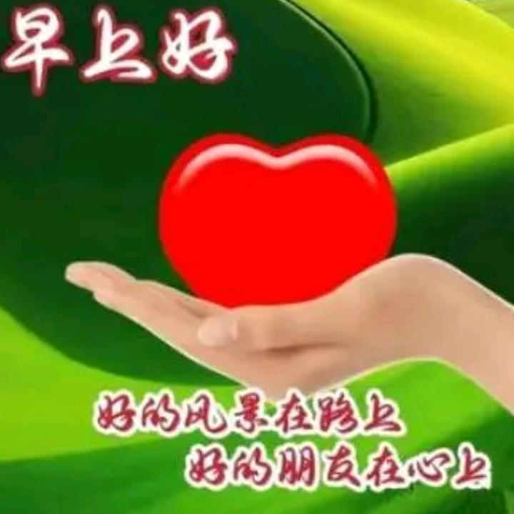 莲花