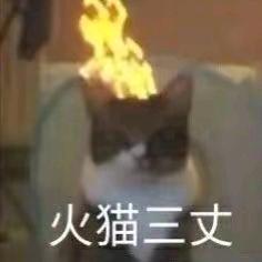 时乐乐乐乐乐
