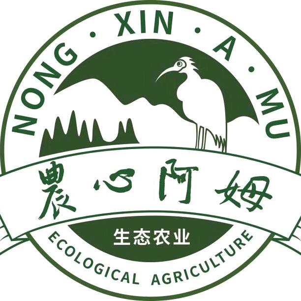 农心阿姆