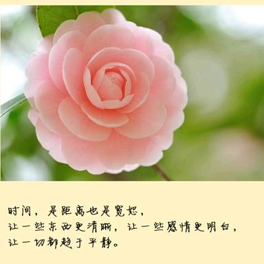 盐城至射阳顺风车