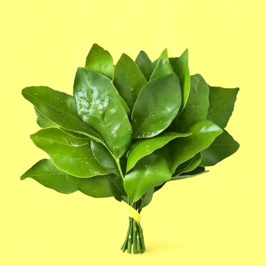 🍋娟娟🍋
