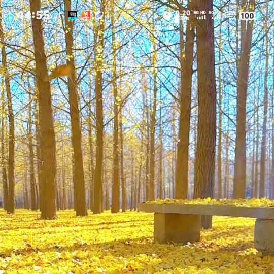 小英家政-平顶山