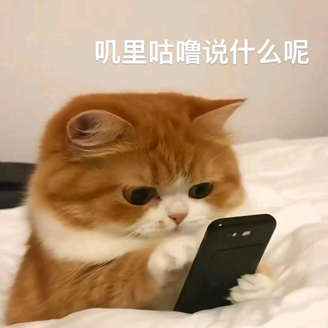 叽里咕噜说啥呢