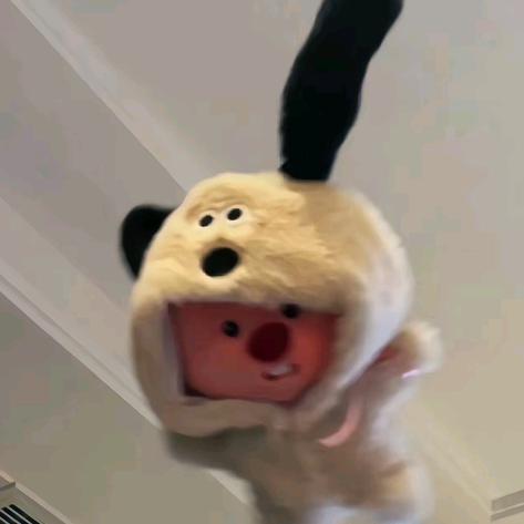 麻辣鱼