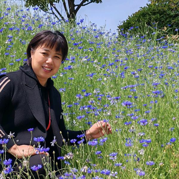 睢宁爱雪信息咨询工作室