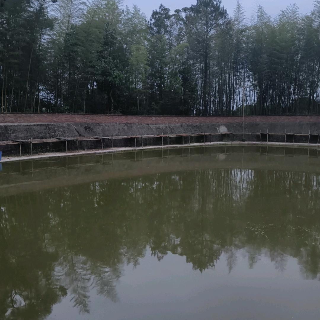 渝北桂花屋基欢乐塘